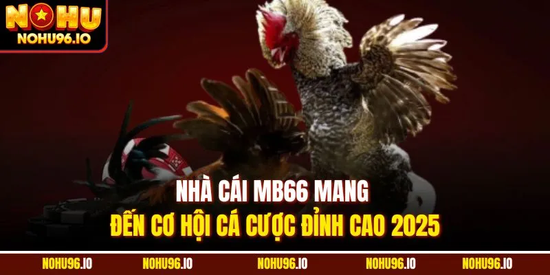 Nhà cái MB66 mang đến cơ hội cá cược đỉnh cao 2025